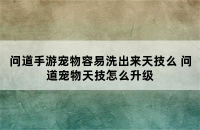 问道手游宠物容易洗出来天技么 问道宠物天技怎么升级